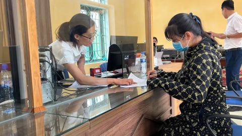 Bảo đảm thông suốt khi phân cấp, phân quyền thủ tục hành chính lĩnh vực nông nghiệp và môi trường