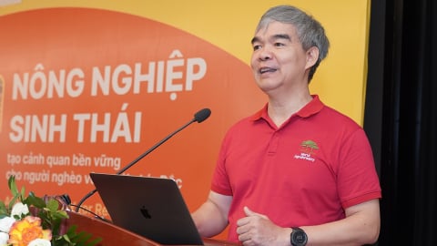 ICRAF hỗ trợ nông dân Tây Bắc phục hồi đất dốc, nâng sinh kế xanh
