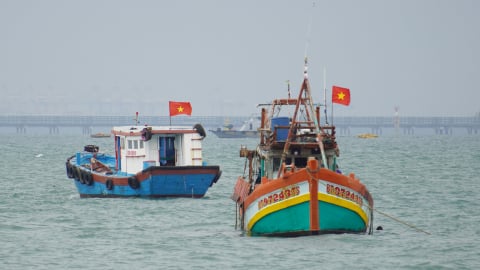 Thủy sản Việt trước ngưỡng cửa EU khắt khe: [Bài 2] Khó vào EU vì thẻ vàng IUU
