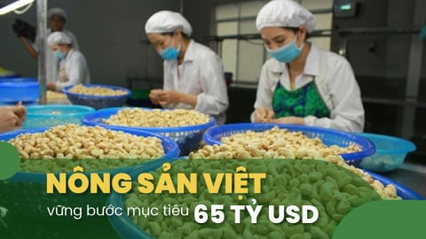 Trung Quốc trở thành thị trường lớn nhất của hạt điều Việt Nam