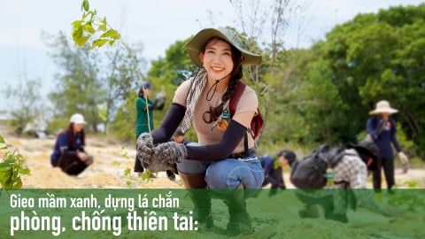 Gieo mầm xanh, dựng lá chắn phòng, chống thiên tai