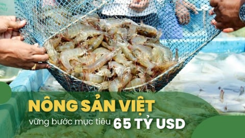 Sản phẩm giá trị gia tăng tạo lợi thế thị trường cho tôm xuất khẩu