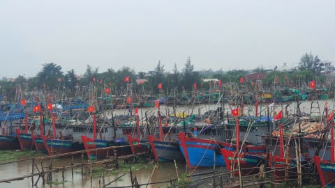Ninh Bình thành lập 5 đoàn kiểm tra tại cơ sở để ứng phó bão Kajiki