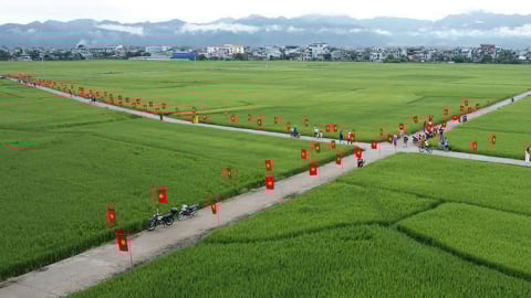 Điện Biên: Hàng trăm lá cờ Tổ quốc giữa cánh đồng Mường Thanh