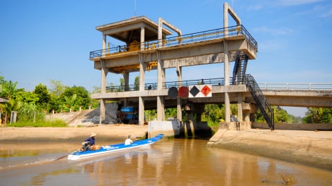 Đê bao chắc chắn, bà con tin tưởng lúa thu đông 'chắc ăn'
