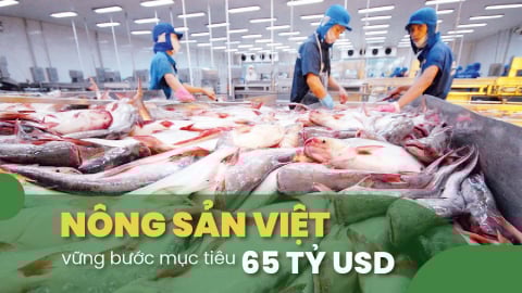 Cá tra giữ đà xuất khẩu trong những tháng cuối năm