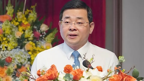 TP.HCM phân công công tác Ban Giám đốc Sở Nông nghiệp và Môi trường