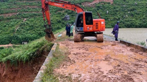 Mưa lũ khiến tỉnh Phú Thọ thiệt hại hơn 3.726 ha ngô, lúa