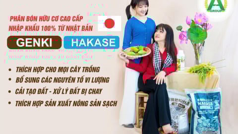 Chăm sóc sầu riêng hiệu quả với sản phẩm Annong chuyên biệt