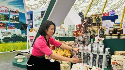 Không gian trưng bày Điện Biên tại Triển lãm thành tựu đất nước 2025