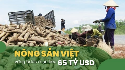 Xuất khẩu sắn lấy lượng bù giá