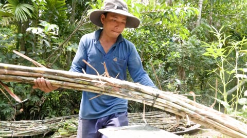 Trồng mía bán chục, nông dân thu lợi 10 triệu đồng mỗi công