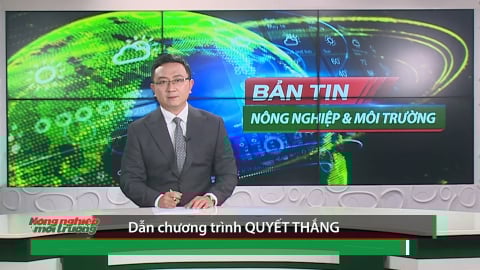 Bản tin truyền hình Nông nghiệp và Môi trường số 35/2025 (số 422)