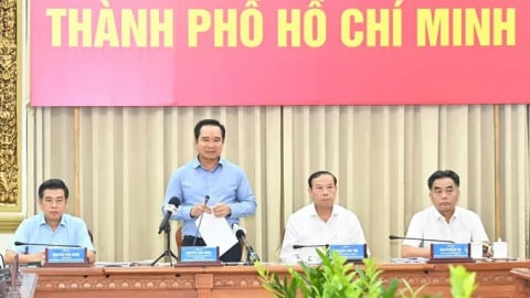 Phân công nhiệm vụ Chủ tịch và 7 Phó Chủ tịch UBND TP.HCM