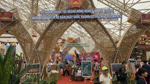 Triển lãm thành tựu đất nước đón lượng khách chưa từng có