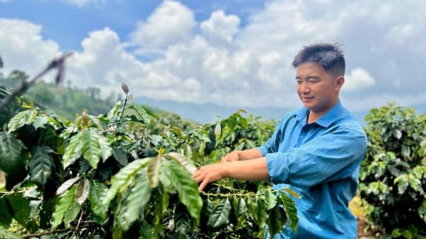 Điện Biên: Đồng hành, hỗ trợ thanh niên lập thân, lập nghiệp