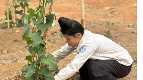 Phụ nữ Điện Biên phát huy vai trò trong xây dựng nông thôn mới