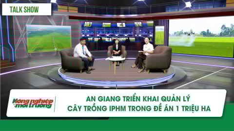 An Giang triển khai chương trình IPHM gắn với Đề án 1 triệu ha lúa