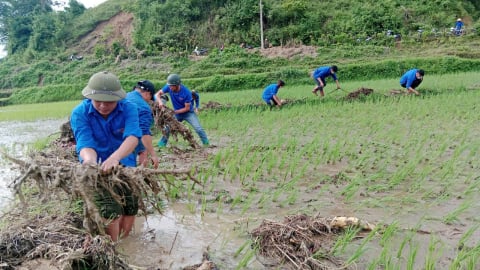 Xa Dung khắc phục thiên tai, khôi phục sản xuất