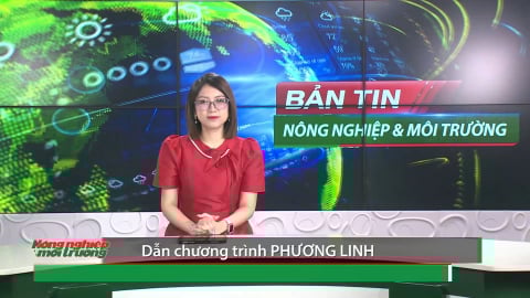 Bản tin Truyền hình Nông nghiệp và Môi trường số 36/2025 (số 423)