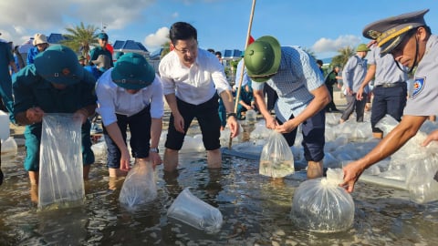 Thả cá, hồi sinh nguồn lợi biển Quảng Ninh