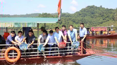 Bắc Ninh thả gần 10 tấn cá giống tái tạo nguồn lợi thủy sản