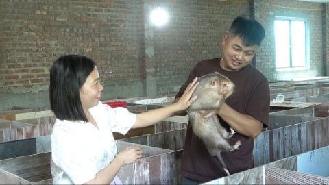 Nuôi dúi mở hướng làm giàu ở Quảng Đức