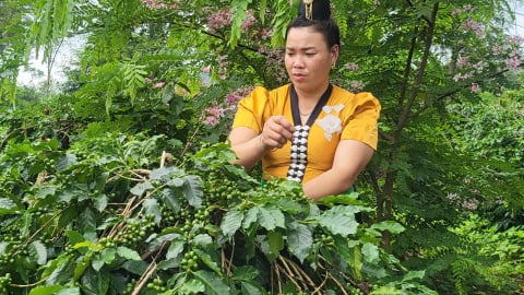Điện Biên: Hội LHPN nhân rộng mô hình xanh, sạch, đẹp xây dựng nông thôn mới