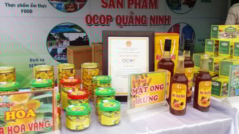 Ứng dụng khoa học công nghệ ‘nâng tầm’ OCOP Quảng Ninh