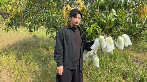 Tư duy làm nông nghiệp 'ra ngô ra khoai' của một trí thức trẻ