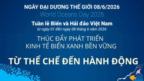Những thông điệp ý nghĩa hưởng ứng Ngày Đại dương thế giới 2026