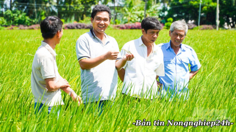 Mở rộng quyền chủ động cho địa phương, giảm chi phí tuân thủ cho doanh nghiệp