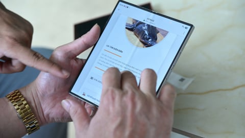 Mã QR chắp cánh thương hiệu cá tầm Mường Phăng