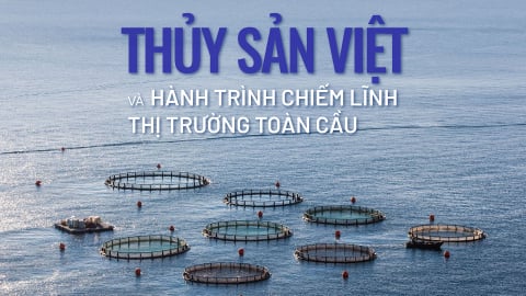 Thủy sản Việt và hành trình chiếm lĩnh thị trường toàn cầu