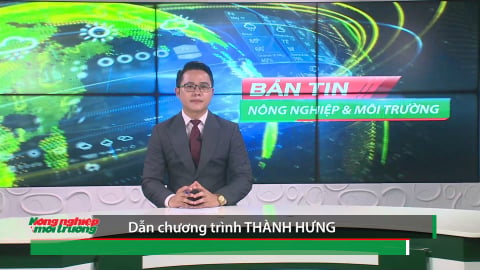 Bản tin Truyền hình Nông nghiệp và Môi trường số 24/2026 (số 463)