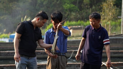 Khó khăn bủa vây người nuôi cá nước lạnh ở Lai Châu