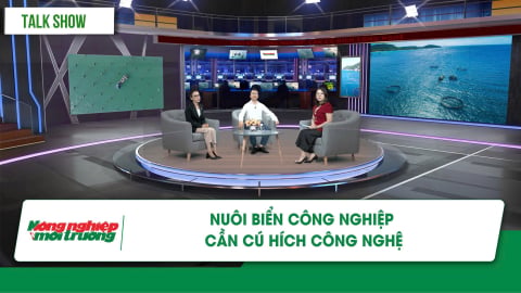 Nuôi biển công nghiệp: Cần cú hích công nghệ