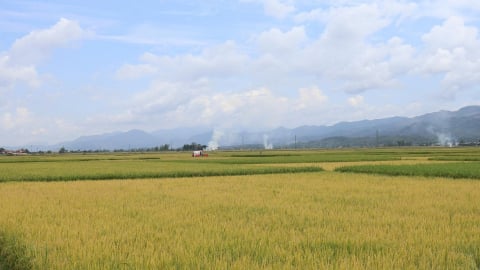 Điện Biên tăng cường thông tin thị trường, hỗ trợ xuất khẩu nông sản
