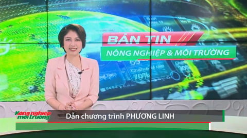 Bản tin Truyền hình Nông nghiệp và Môi trường số 25/2026 (số 464)