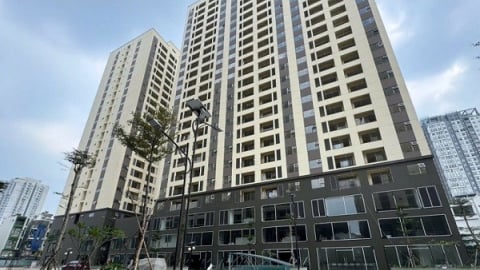 TP.HCM công bố giá bán dự án nhà ở xã hội 324 Lý Thường Kiệt