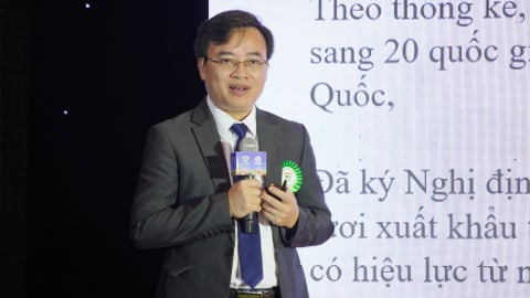 Định hướng phát triển ngành Rau quả Việt Nam giai đoạn mới