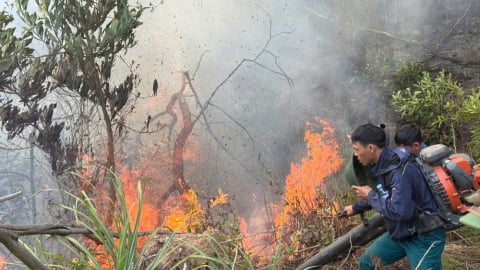Nghệ An triển khai các biện pháp cấp bách về phòng cháy, chữa cháy rừng