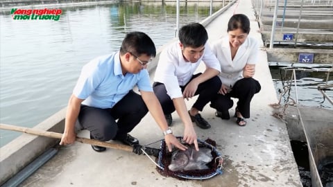 Nuôi trồng thủy sản công nghệ cao thích ứng khí hậu, hướng tới xuất khẩu