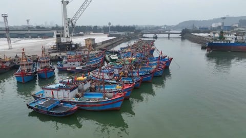 Nghệ An chủ động ứng phó với bão số 1