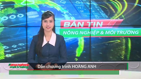 Bản tin Truyền hình Nông nghiệp và Môi trường số 26/2026 (số 465)