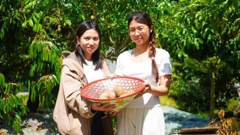 Du lịch sinh thái Cần Thơ hút khách dịp hè
