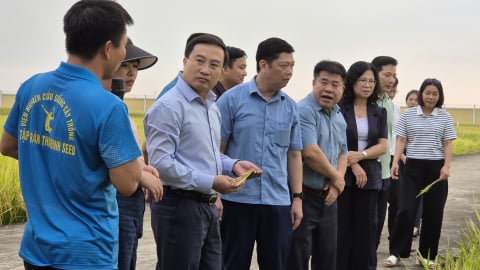 Nông nghiệp và Môi trường Tuyên Quang: Nỗ lực tăng trưởng 2 con số