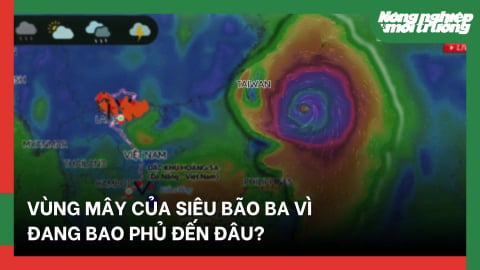 Vùng mây của siêu bão Ba Vì đang bao phủ đến đâu?