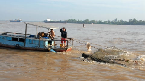 Cấm khai thác thủy sản trên sông Tiền