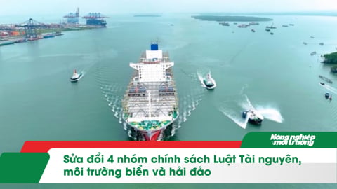 Sửa đổi 4 nhóm chính sách Luật Tài nguyên, môi trường biển và hải đảo